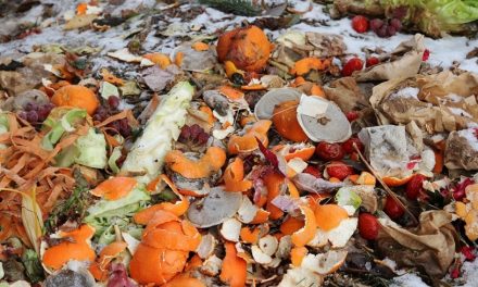 Top tips to reduce food waste during processing