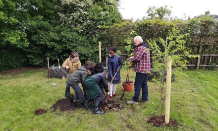 OT Group signs multi-year partnership with The Tree Council in bid to plant 10,000 trees
