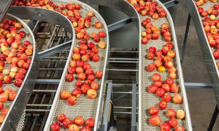Digitalization tools key to solving sustainability issue in food production